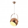 Iron Pendant Lamp F6302/1-250mm Red sand color