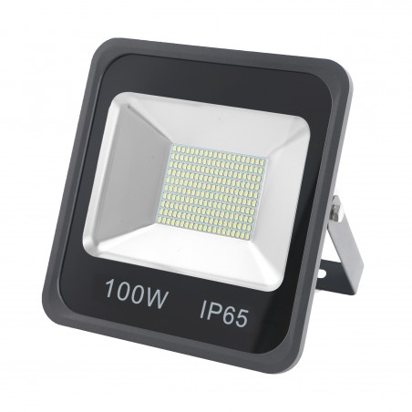 Projector LED 100 (W)