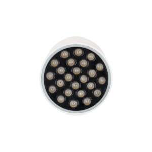 Wall Round HC-6520 color 24W