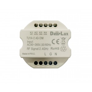 Controller HX-TUYA-2.4G-DIM